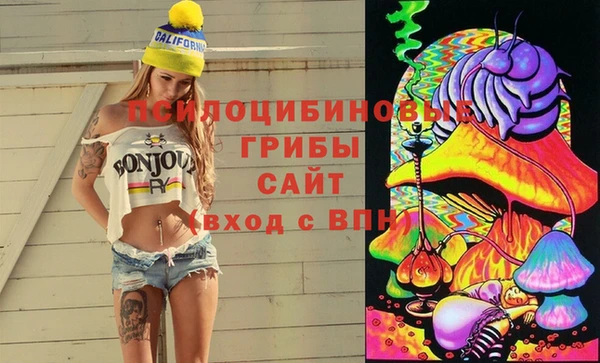 соль ск Абаза
