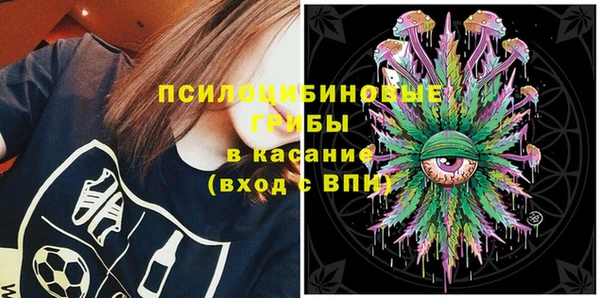 прущая мука Щигры