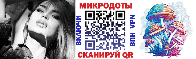 Псилоцибиновые грибы Psilocybe  Касли 
